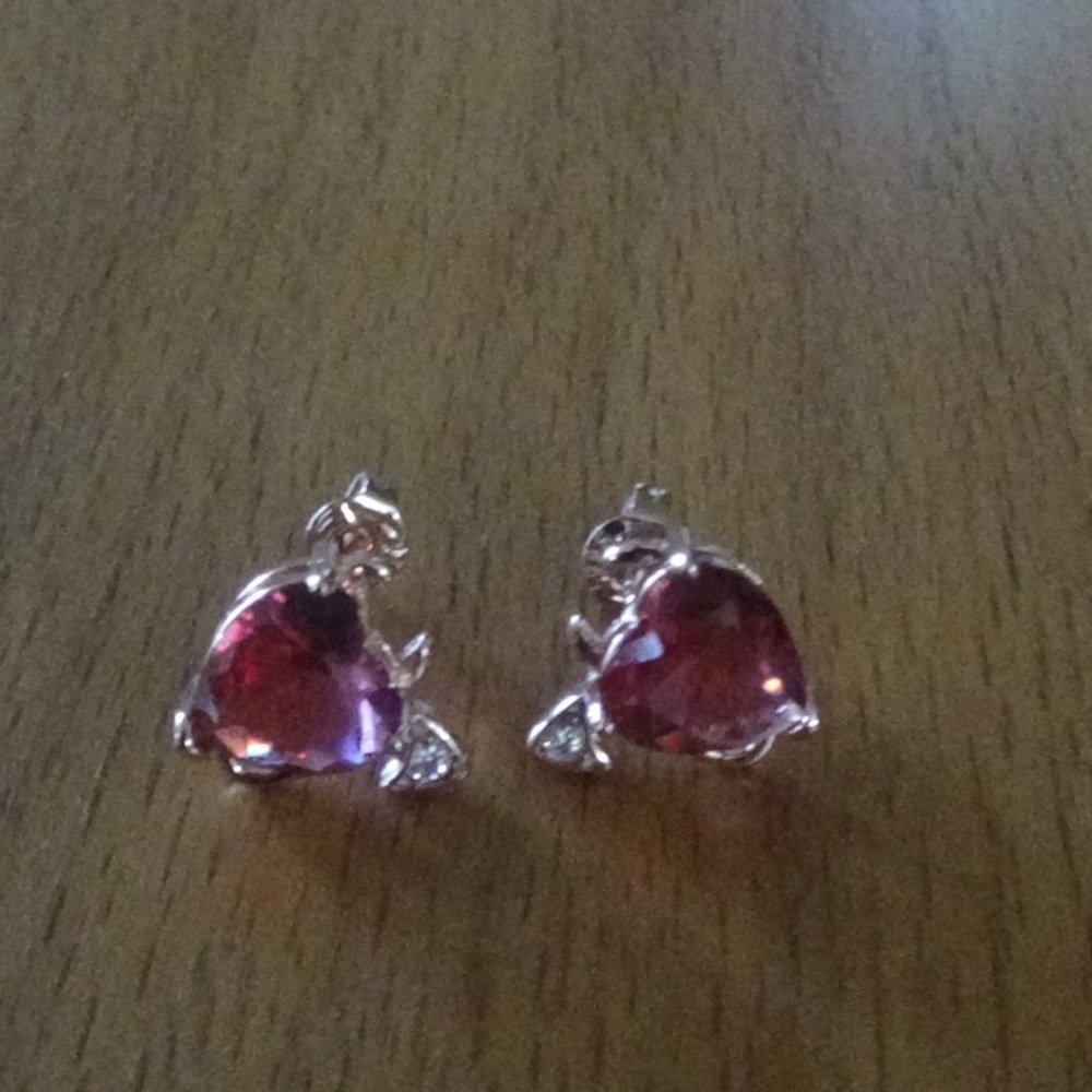 Earrings